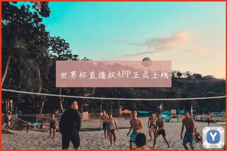 世界杯直播权APP正式上线