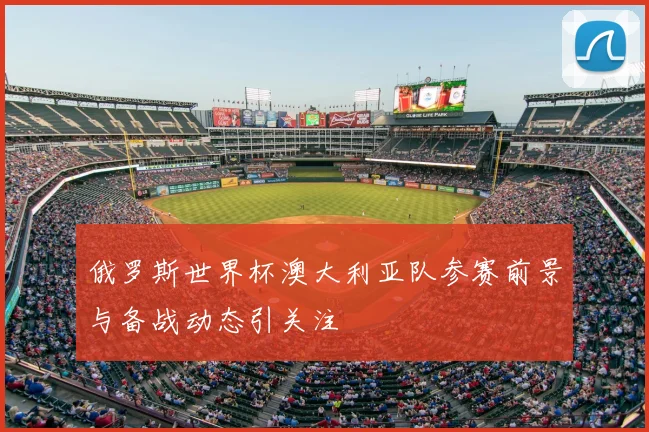 俄罗斯世界杯澳大利亚队参赛前景与备战动态引关注