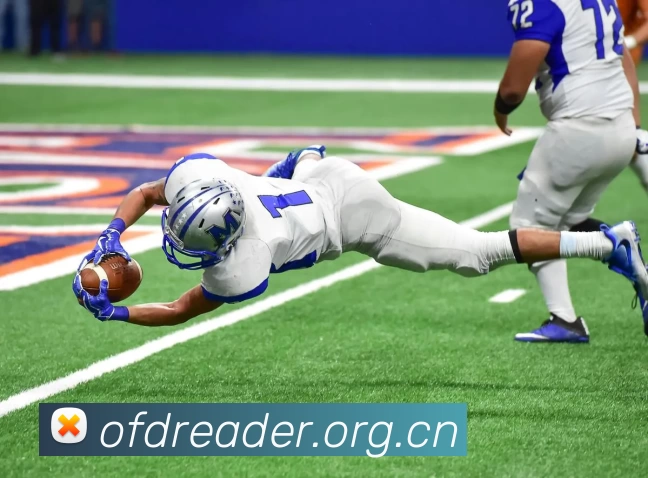 多媒体互动体验