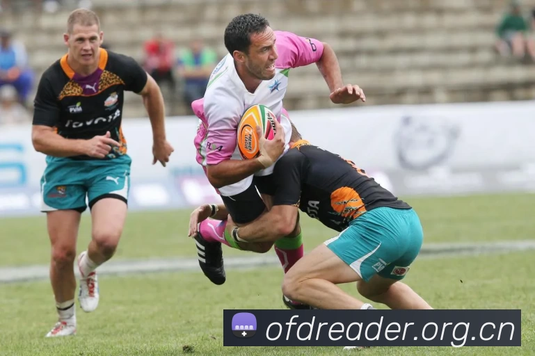 开云网页版·官方版在线登入 - 开云(中国)APP 体育赛事宣传图